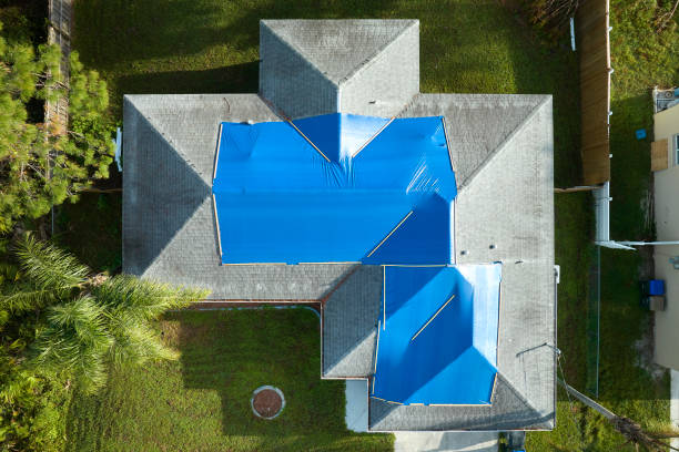 Best Roof Moss and Algae Removal  in Jerseyvle, IL