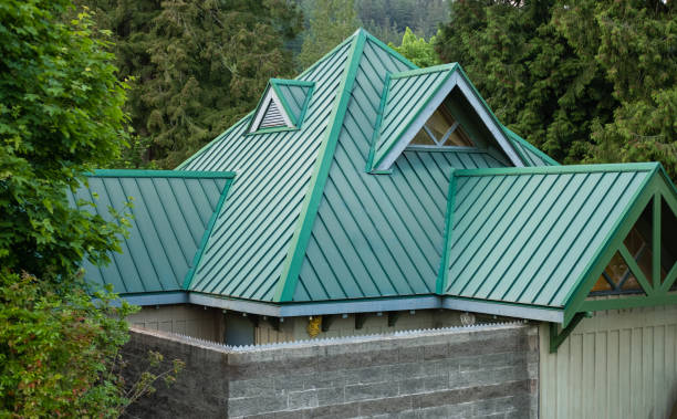 Best Roof Maintenance and Cleaning  in Jerseyvle, IL