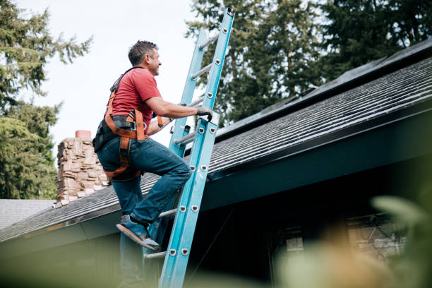 Best Rubber Roofing (EPDM, TPO)  in Jerseyvle, IL